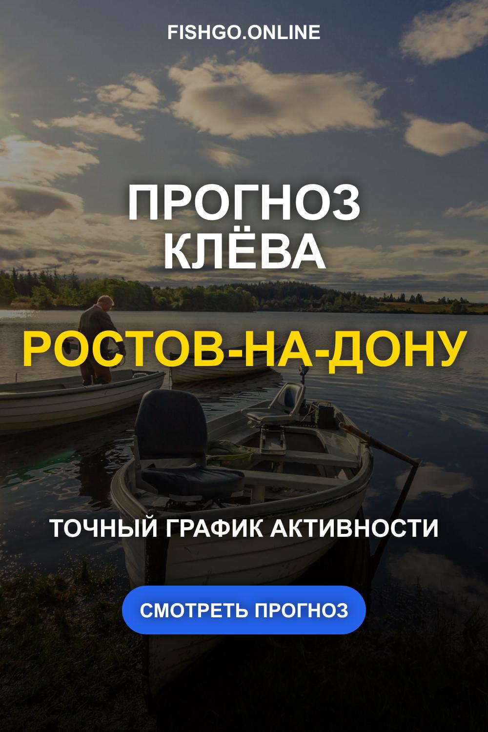 Прогноз клёва рыбы в Ростове-на-Дону на сегодня, завтра и 14 дней